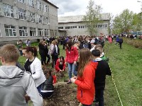 сирень, Фото: 3