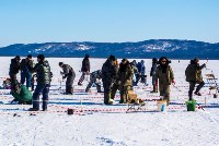 Соревнования по зимней рыбалке состоялись в Томаринском районе , Фото: 2