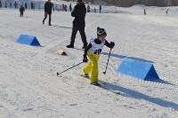 Соревнования по лыжным гонкам, Фото: 11