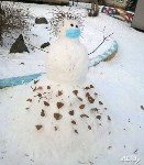 100 снеговиков сделали сахалинские ребятишки на конкурс astv.ru, Фото: 93