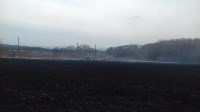 Около двух часов пожарные тушили горящую траву на поле в Дальнем, Фото: 2