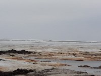 Трех оторвавшихся на льдине рыбаков вернули на берег на Сахалине, Фото: 1