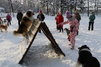 Горпарк Южно-Сахалинска закончил новогодние праздники костюмированным фестивалем, Фото: 5