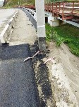 Поротую горбушу бросили неизвестные между мостами в Холмском районе, Фото: 4