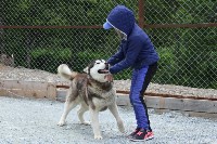На «дальневосточном гектаре» в Корсакове детей учат дружить с собаками, Фото: 7