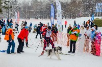 Соревнования по ездовому спорту прошли в Южно-Сахалинске, Фото: 27