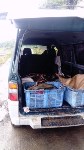 Рыбаки-любители выловили 600 кг горбуши в Корсаковском районе, Фото: 3