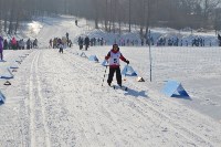 Соревнования по лыжным гонкам, Фото: 16