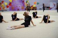 Тренировка по эстетической гимнастике в Южно-Сахалинске, Фото: 9