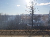 Пал травы перерос в большой природный пожар в окрестностях Березняков, Фото: 8