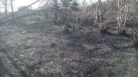 В Корсаковском районе горит трава, Фото: 3