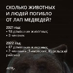 Охотоведы рассказали, сколько человек погибли от лап медведей на Сахалине в 2022 году, Фото: 4