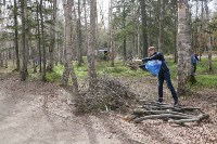 Двадцать четыре самосвала с мусором вывезли с территории южно-сахалинского парка, Фото: 4