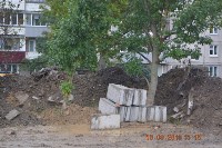 Строители уничтожают ценные деревья Южно-Сахалинска, Фото: 10