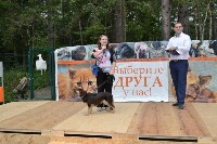 В рамках выставки беспородных собак в Южно-Сахалинске 8 питомцев обрели хозяев, Фото: 25