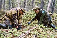 Останки двух советских солдат обнаружили поисковики на Сахалине, Фото: 4