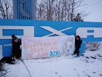 Десятки сахалинцев вышли на одиночные пикеты ради спасения косаток , Фото: 9