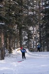Лыжные гонки в Ногликах, Фото: 6