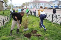 Более 100 цветущих кустарников высадили в Томари, Фото: 6