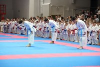 Более 500 сахалинцев померились силами в областных соревнованиях по каратэ, Фото: 1