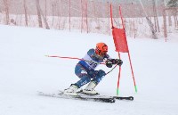 Ветераны горнолыжного спорта показали мастерство на «Горном воздухе», Фото: 10