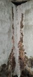 Холмчанка жалуется на грибок и сырость в своём доме, Фото: 4