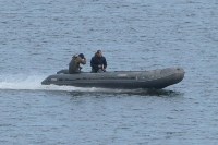 Сахалинцев просят помочь найти людей, издевавшихся над тюленями, Фото: 6