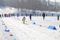 Соревнования по лыжным гонкам, Фото: 13