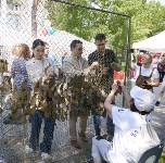 Встреча Сергея Надсадина с молодёжью, Фото: 4