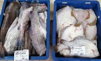 Почти 450 тонн свежевыловленной рыбы по сниженным ценам продали сахалинцам и курильчанам в 2022 году, Фото: 10