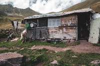 Временное убежище горных пастухов, Кош, Фото: 8