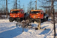 Якутские олени обживаются на севере Сахалина: фоторепортаж из Ногликского района, Фото: 74