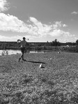 Областные соревнования по гольфу прошли на Сахалине, Фото: 14