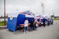 В Хомутово прошла первая ярмарка выходного дня, Фото: 5
