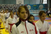 Командные соревнования по каратэ прошли в Холмске, Фото: 17