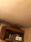 В Южно-Сахалинске квартиры в доме покрылись грибком из-за дырявой крыши, Фото: 3