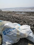 Сахалинцы собрали 125 мешков мусора с берегов озера Буссе , Фото: 6