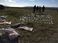 Более 600 кг кеты изъяли пограничники у браконьеров в Корсаковском районе, Фото: 2