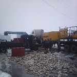 Несколько тонн рыбы затруднили движение по автодороге Южно-Сахалинск – Оха, Фото: 5