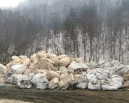 Раздельный сбор мусора - проект в Южно-Сахалинске, Фото: 5