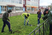 Более 100 цветущих кустарников высадили в Томари, Фото: 14