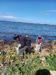 Сахалинцы очистили берег моря, заваленный бутылками, вёдрами и сломанной бытовой техникой, Фото: 2