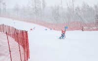 Ветераны горнолыжного спорта показали мастерство на «Горном воздухе», Фото: 12