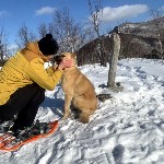Собака Юля показала туристам на Сахалине редкий зимний маршрут, Фото: 3