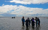 Более 200 человек увидели подводный мир залива Анива в этом году, Фото: 5