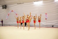  На Сахалине определили сильнейшие команды по эстетической гимнастике, Фото: 3