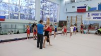 Сахалинских тренеров по спортивной гимнастике учат новым правилам судейства, Фото: 5