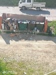 "Всё утопает в грязи": жители Томари просят навести порядок в мусорном вопросе, Фото: 6