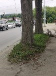 Очевидец: упавший в Южно-Сахалинске столб пролежал на тротуаре две недели, Фото: 3