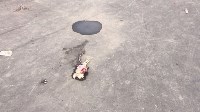 Окровавленные куры и бутылки разбросали по детской площадке в Новой Деревне, Фото: 3